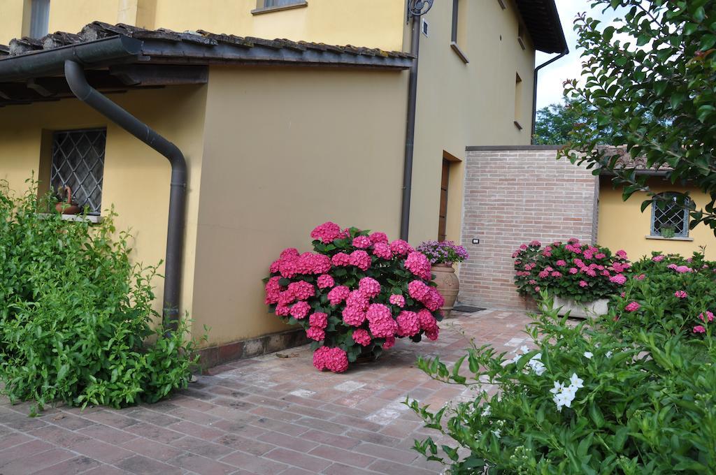 B&B Il Casolare Di Bonci Santa Maria a Monte Ngoại thất bức ảnh